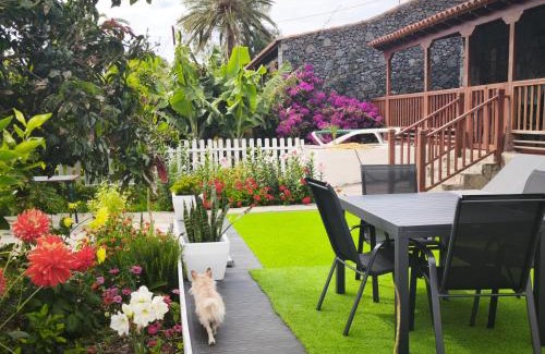 Alojera House | La Finca De Victoria Alojera