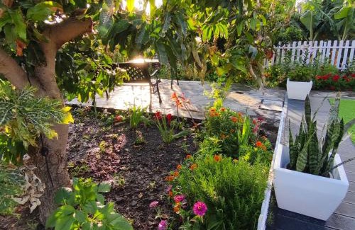 Alojera House | La Finca De Victoria Alojera