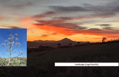 Regalbuto House | La Finestra sul Gelso