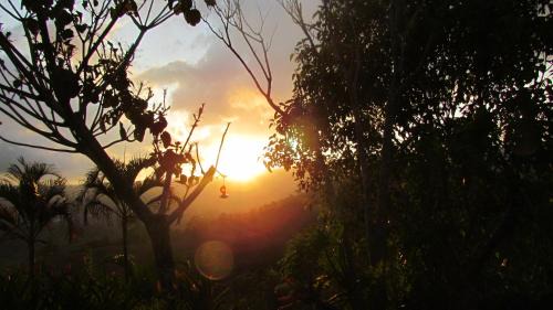 Pacuare Reserve Ski Chalet | La Flor de Loto
