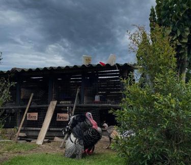 Tumbabiro Cabin | La Fogata- Rancho en Chachimbiro