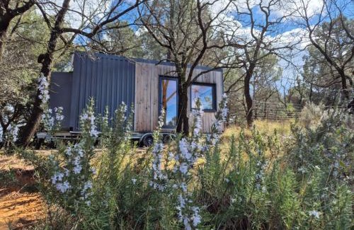Mondragon House | La Forêt Enchantée - Refuge au coeur du Vaucluse