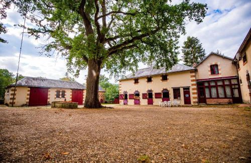 Cour-Cheverny House | La Forge