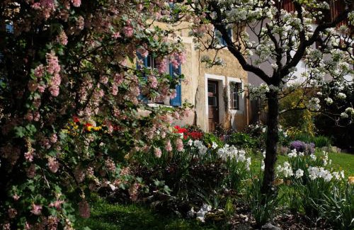Aime Bed & Breakfast | La Foyère