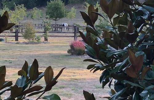 Loigne-sur-Mayenne Bed & Breakfast | La Francoisiere