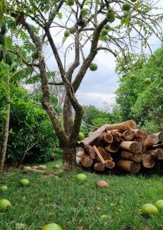 Yopal Villa | La Gaitana Finca Hotel