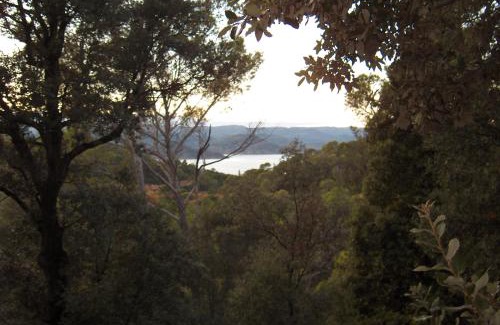 Clermont-l'Herault Bed & Breakfast | La Genestière