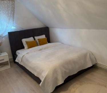 Calafat House | La Grădină