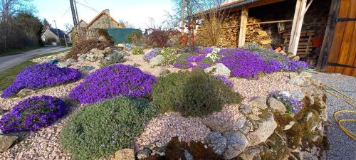 Saint-Agnant-pres-Crocq House | La Grange
