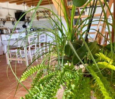 Plougonvelin House | La Grange Neuve