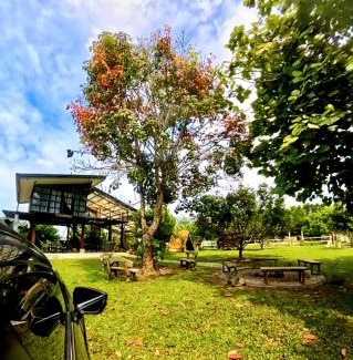 Pinan Other | La Granja Farmstay Dipolog
