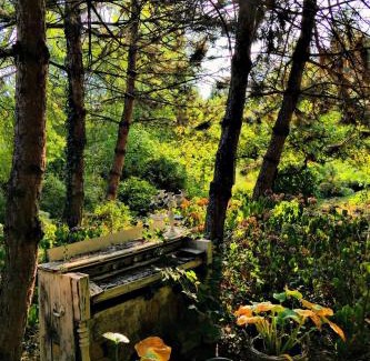 Watronville Bed & Breakfast | La Haie à Cerf