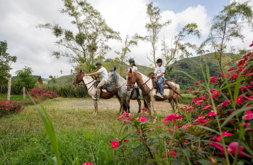 Santa Rosa de Cabal House | La Herradura lodge