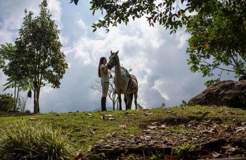 Santa Rosa de Cabal House | La Herradura lodge