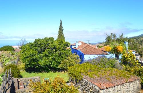 El Paso House | La Higuerita