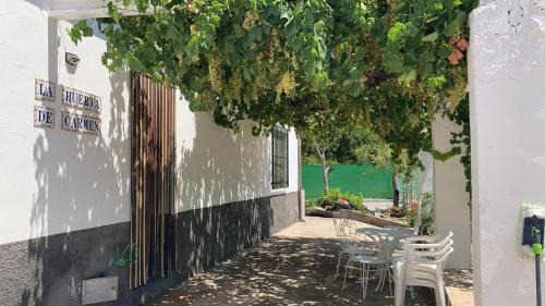 Mogon House | La huerta de Carmen