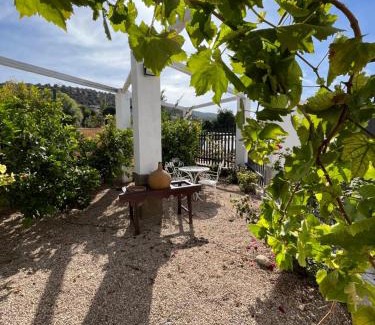 Mogon House | La huerta de Carmen