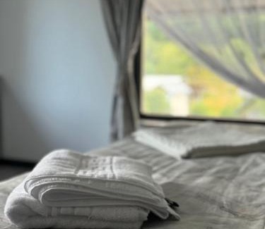 Brosteni House | La Ilie la spălătorie