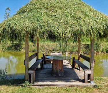 Rozavlea House | La Ionicã Rozavlea MM