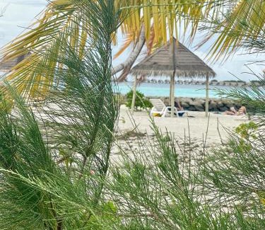 Guraidhoo Hotel | La Isla Tropica