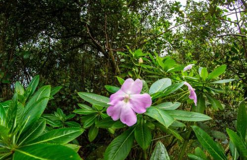 El Rosal Villa | La Juana Posada en Tenjo