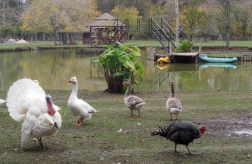 Presidente Derqui Apartment | La Justina - Nuestro Campo