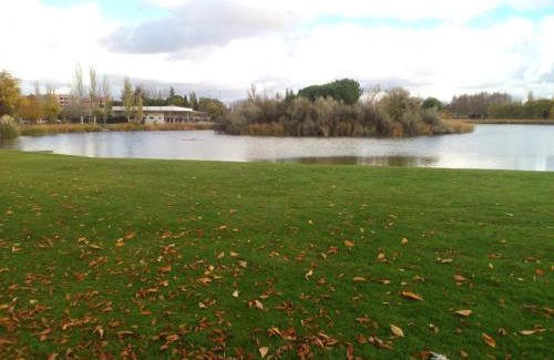 Laguna de Duero Apartment | LA LAGUNA