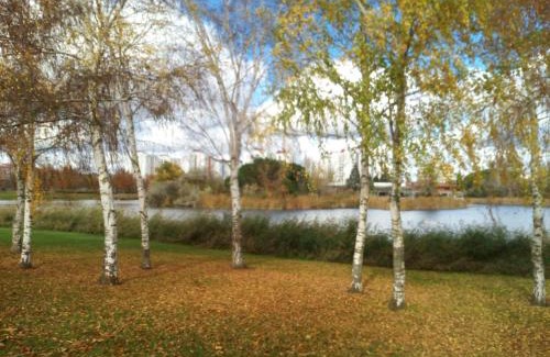 Laguna de Duero Apartment | LA LAGUNA