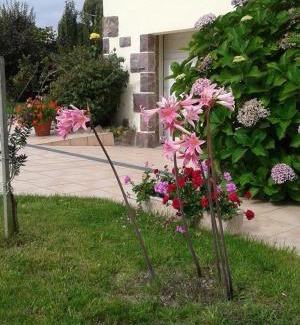 Plourivo Apartment | la lande romaine