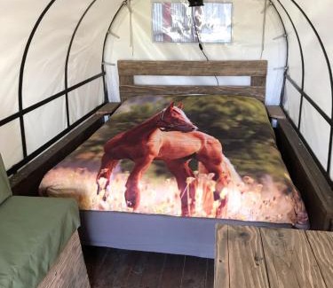 Pouzauges Bed & Breakfast | La Libaudière