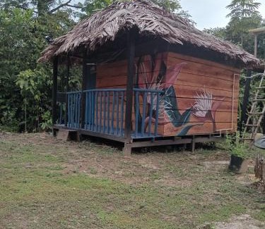 Uramba National Park Other | La Loma ItalPacifico