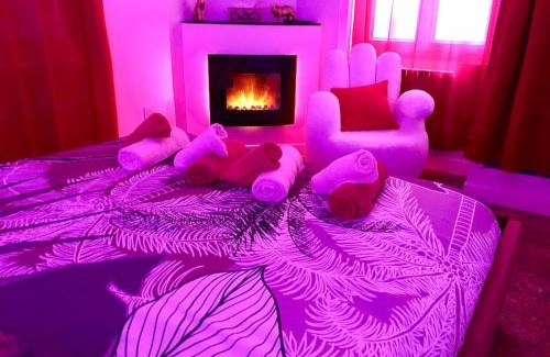 Pont-sur-Yonne Apartment | La lover’s jungle