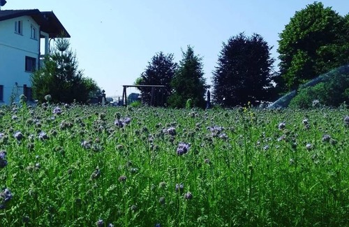 Candiolo Bed & Breakfast | La Lumaca Nel Pozzo