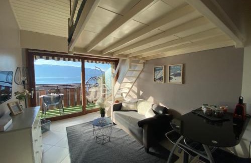 Veyrier-du-Lac Apartment | La lumière du lac, duplex avec vue lac, parking