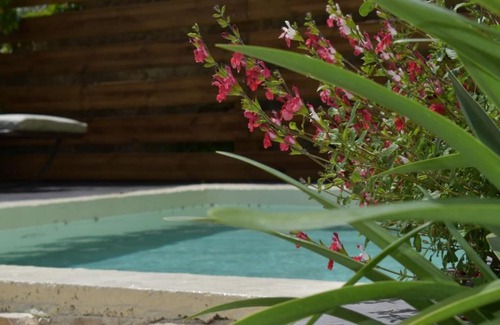Pourrieres House | La Maison Bourgeoise - adults only