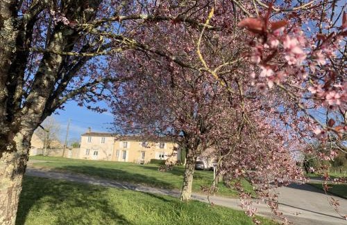 Montignac-Charente House | La maison d’eloi