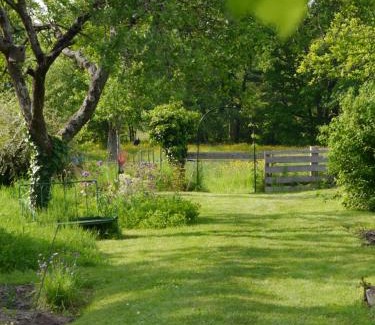 Droyes Bed & Breakfast | La Maison de Marie - Chambres d'Hôtes au Lac du Der