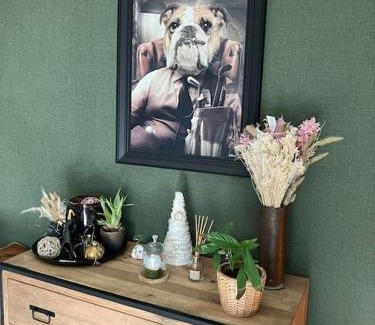 Hannut House | La maison de Timao