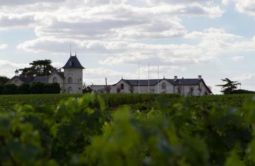 Beaulieu-sur-Layon House | La Maison des Vignes - Domaine de la Soucherie