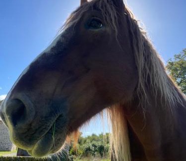 Croze House | La Maison du Bonheur & Spa