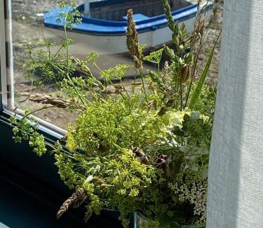 Loguivy Bed & Breakfast | La maison du grand rocher