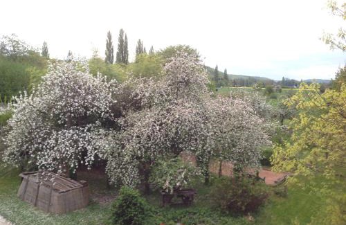 Acquigny Bed & Breakfast | La Maison du Verger