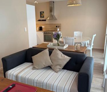 Montargis Apartment | La maison Virginie appartements climatisés de 1 à 5 pers cosy central parking gratuit linge fibre proximité port lac canal piscine