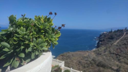 Los Realejos Apartment | La Mar