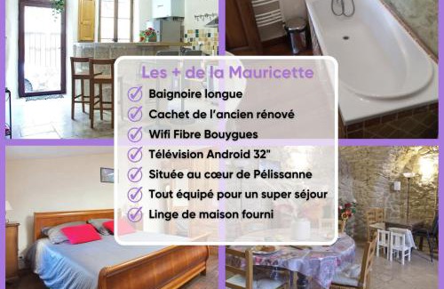 Pelissanne Villa | La Mauricette - free Parking & Cancellation - WiFi