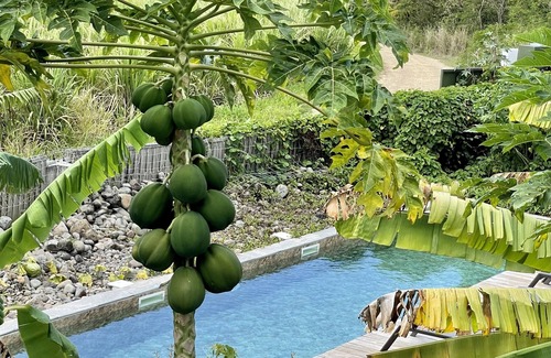 Petit-Canal Villa | La "Mer de Canne" Standing Villa SECRET NATURE 2. Paradise beach 5 minutes away!