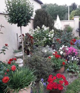 Lailly Bed & Breakfast | La Merlette89