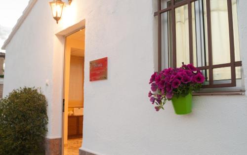 Roquetes House | La Miranda