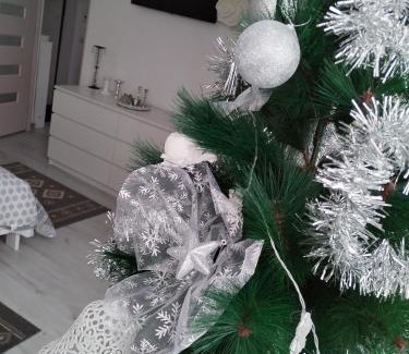 Lupeni Apartment | La Monica 2 - Cazare Straja - Lupeni - Retezat - Parang