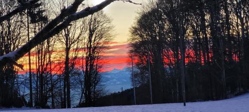 Provence Bed & Breakfast | La Montagne devant